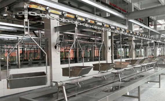 豬肉價格波動 生豬供應明顯恢復