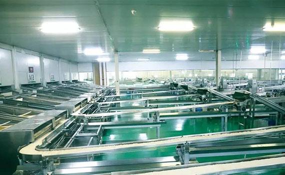 淺析智能生產線在掛面工廠的應用