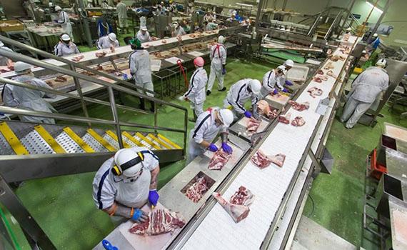 全球最大肉類生產(chǎn)線被黑客全線逼停 國(guó)內(nèi)豬肉18周連降價(jià)格省心