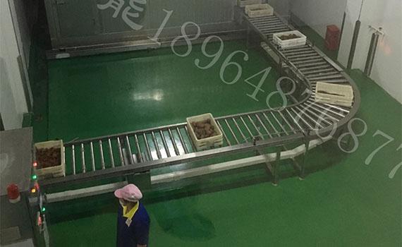 冠猴智能優質解決方案之輥道輸送機