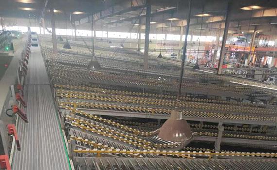 冠猴智能完美解決方案之動力滾筒線的應(yīng)用