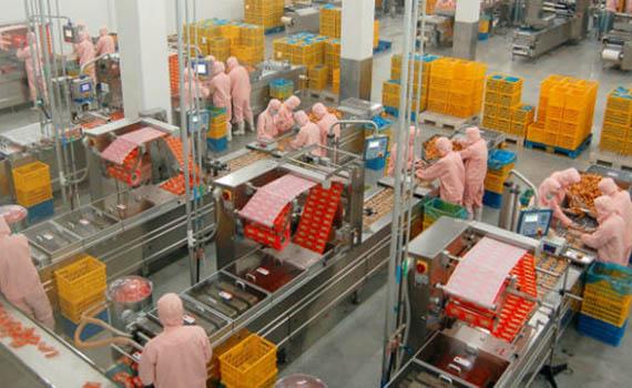 剔骨分割生產線