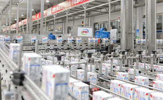 制造賦能品牌！伊利排名持續躍升，成首家制造業百強乳企