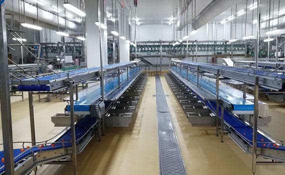 冠猴智能優質解決方案之分割剔骨輸送線