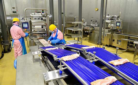 豬肉價(jià)格過(guò)度下跌，近期國(guó)家將再次啟動(dòng)豬肉儲(chǔ)備收儲(chǔ)工作