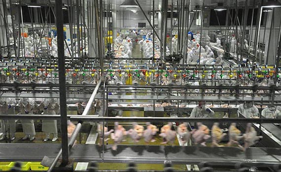 揭秘神舟十二號載人飛船的食品供應商