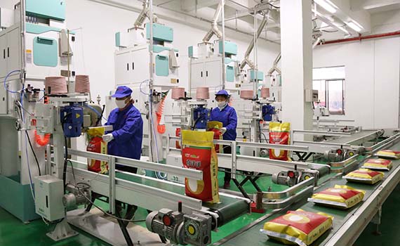 當(dāng)大米加工遇上5G智能，這樣的生產(chǎn)線你見過嗎？