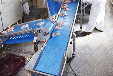 Easy clean belt conveyor line