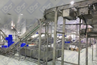 Food whole plant conveyor line