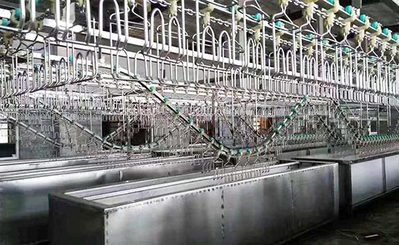 活禽屠宰生產線的高效運轉