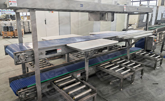 皮帶輸送線的特點有哪些