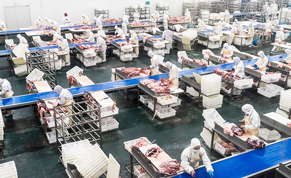 屠宰場殺牛全自動流水線到底有多厲害