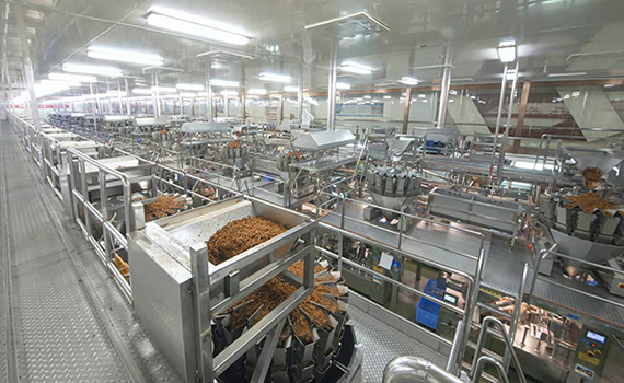 再添“億元級單品”，勁仔食品勢頭強勁，營收凈利均創新高