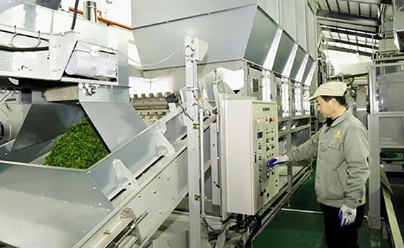 保茶集團全球智能化生產線開工