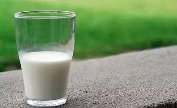 羊奶市場風起云涌，呼和浩特乳都輸送設備助力產業升級