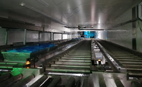 中糧餐飲供應鏈生態共創大會：聚焦食品整廠輸送線技術創新與發展