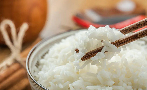 自動米飯生產線亮相高校