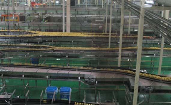 菲仕蘭：以輸送線、自動化物流輸送線及倉儲管理系統賦能飲品新篇章