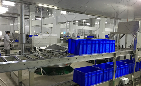 預制菜產業的崛起與輸送設備技術的革新