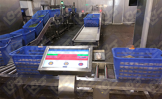 網紅食品生產廠家：生產線中的分揀稱重設備