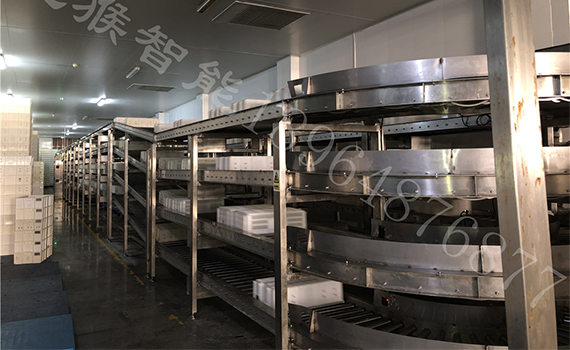 螺旋輸送機：食品原料的精準輸送專家