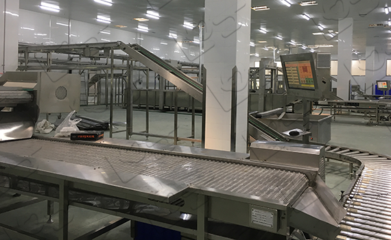 食品生產中的分揀輸送線：高效、自動化智能化分揀輸送線