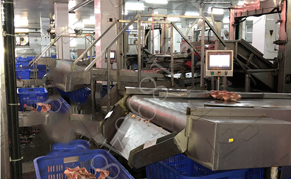 鹵味生產線自動化革新：自動分揀、定量稱重與高效輸送