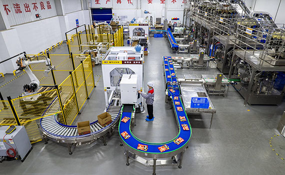 揭秘湖南食品"燈塔工廠"：魔芋年產(chǎn)值高達15億