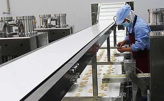 小麻花生產線開啟西部有機農產品新篇章