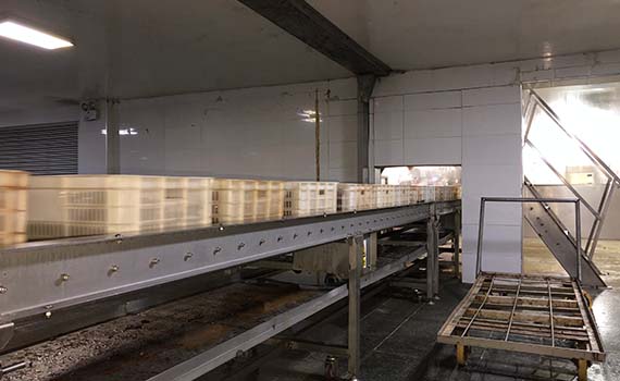 華美食品（河北）工業園盛大開業，食品機械智能化生產再上新臺階