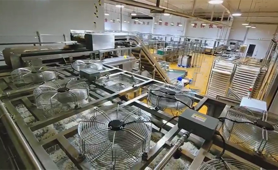 解鎖魔芋爽新口感：魔芋爽生產線自動化、智能化升級