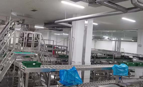 食品自動化設備生產線的雙翼：動態定量稱重機與分揀機的協同作戰