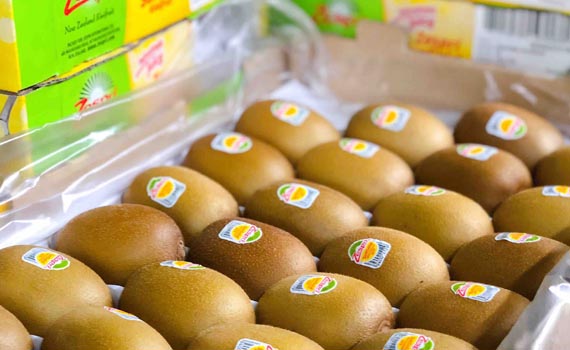 新西蘭佳沛奇異果：加碼中國市場，食品輸送線迎來新機(jī)遇