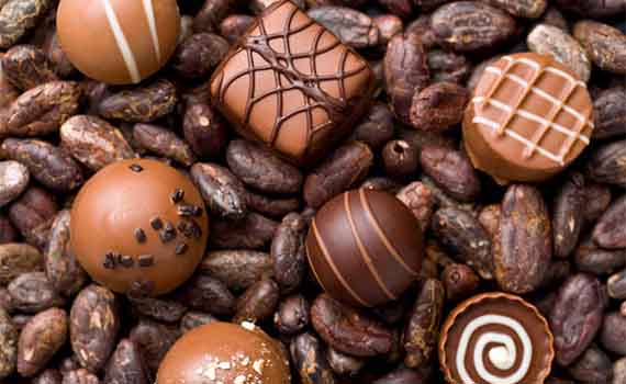 輸送線升級：應對可可價格上漲的解決之道