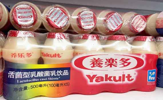 微型生態的奇妙之旅：小紅書奶茶杯改造日記