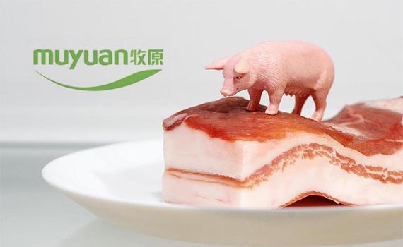 鄭州現(xiàn)代農(nóng)牧公司啟航，牧原股份食品自動化生產(chǎn)