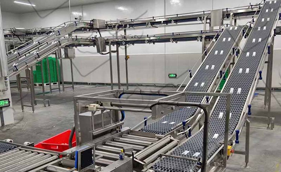 網(wǎng)帶輸送線在食品加工中的作用