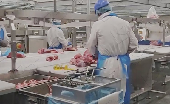 生豬分割輸送線如何提升效率，保障品質(zhì)，推動(dòng)智能化生產(chǎn)