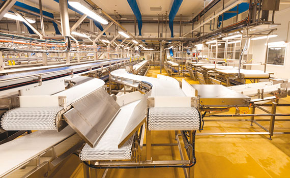 肉類分割輸送線優化布局提升加工效率