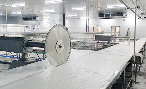 剔骨分割修整線在肉類加工行業(yè)中扮演著至關(guān)重要的角色