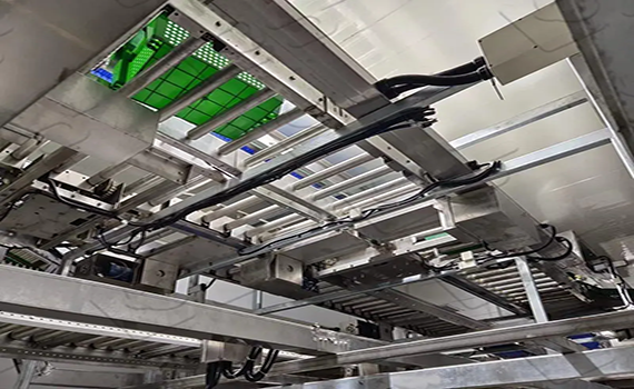 屠宰線已經(jīng)走向了自動化、智能化，未來是否還有更多可能性