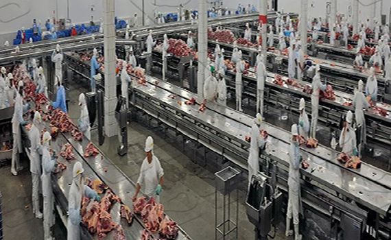 全自動屠宰線在現(xiàn)代屠宰場的需求與效益分析