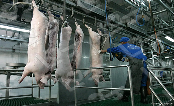 肉類分割線使用的不同應用領域