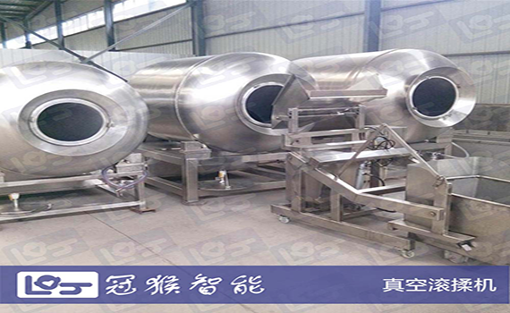 真空揉滾機(jī) 肉制品食品機(jī)械設(shè)備