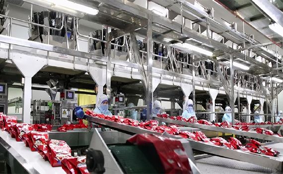 綠色項目--休閑食品加工生產線