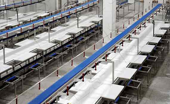 年關至，家禽屠宰設備市場迎來新機遇