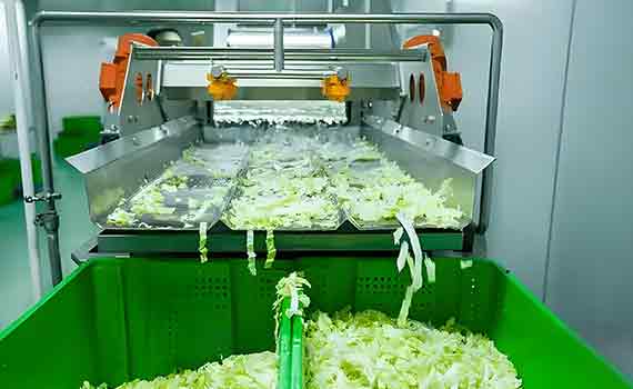 凈菜加工：順應需求潮流，開啟農業產業新篇章