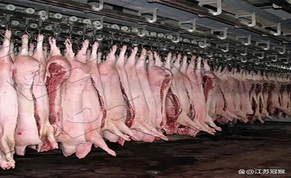 豬牛羊屠宰新勢力：高效流水線設備一覽