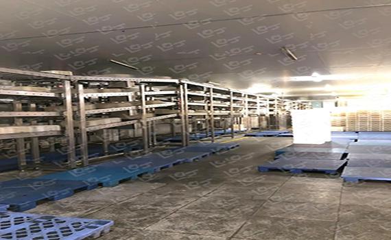 倉儲式輸送線--高效強勁動力