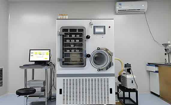 食品加工機(jī)械助力香椿打破春日限定